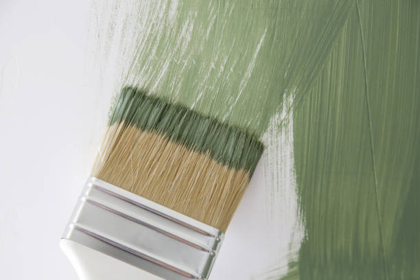Best Mold Damage Restoration  in Midtown, TN