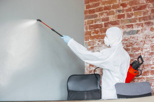 Best Asbestos and Lead Testing During Mold Inspection  in Midtown, TN