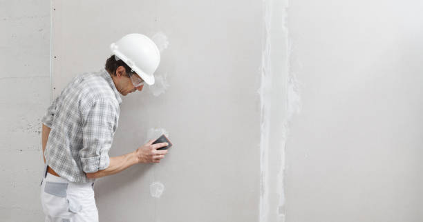 Best Black Mold Removal  in Midtown, TN